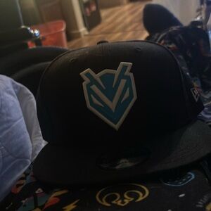 Charlotte Hornets new era SnapBack